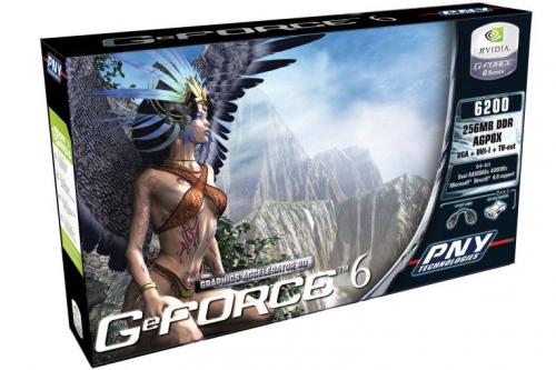 PNY GeForce 6200 AGP 8X