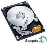 Hard Disk Seagate SATA 3 Gb/s 160 Gb