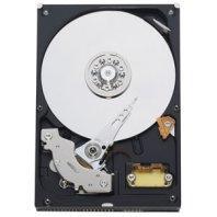 Hard Disk Western Digital ATA 160Gb