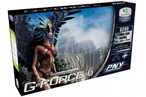 PNY GeForce 6200 AGP 8X